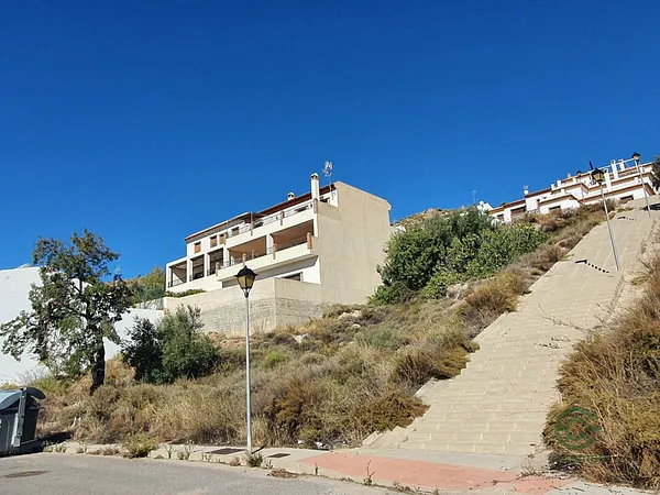 Spot image