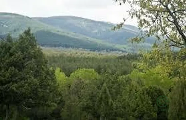 Terreno urbano de 0,0938 ha en venta en Pradena, Segovia