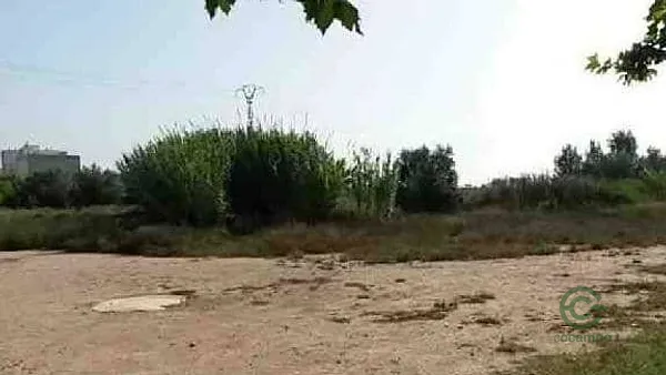Spot image
