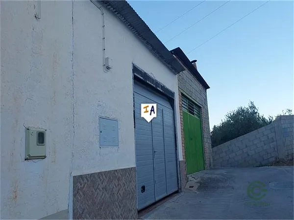 Spot image