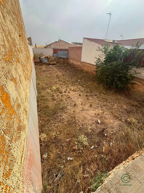 Spot image