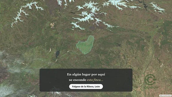 Spot image