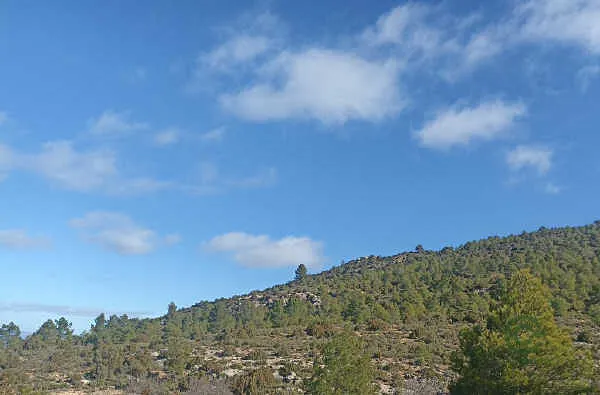Finca rústica de 112,7 ha en venta en Santa Cruz de Moya, Cuenca