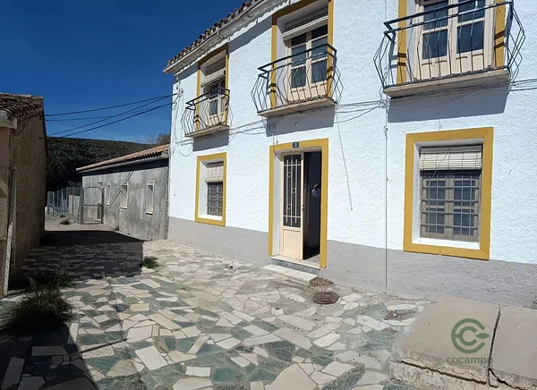 Spot image