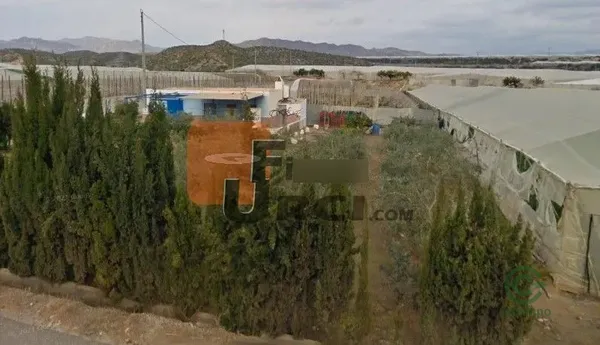 Spot image