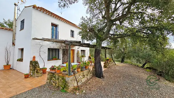 Finca rústica de 5,93 ha en venta en Huelva