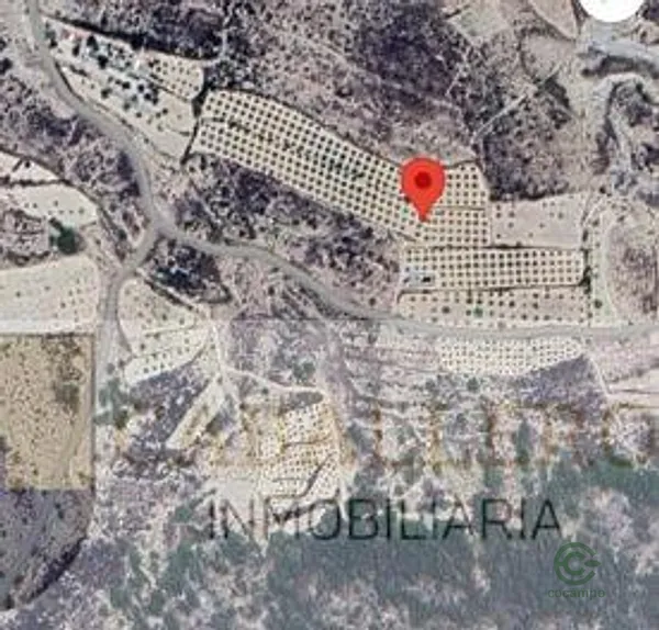 Spot image