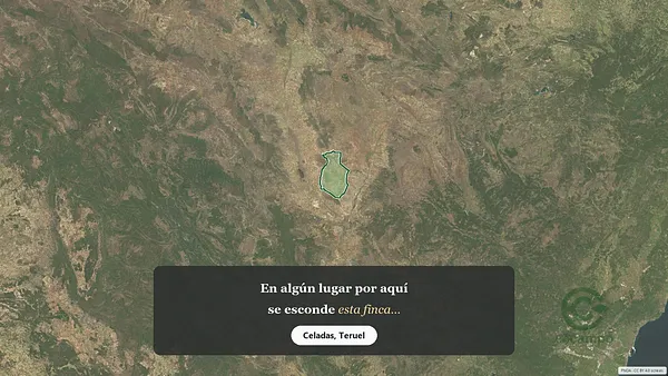 Spot image