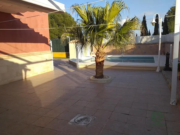 Spot image