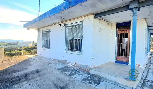 Spot image