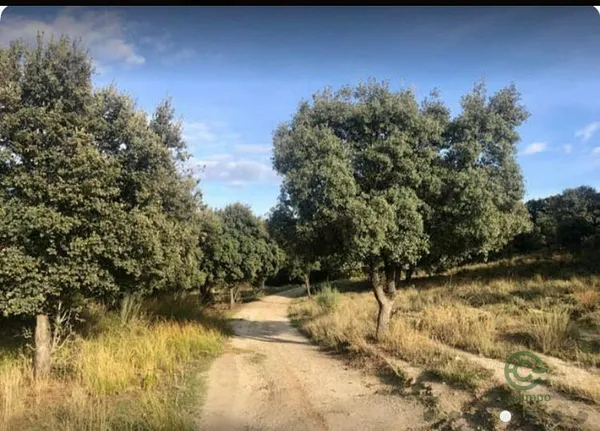 Spot image
