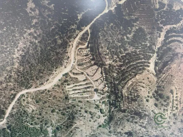Spot image
