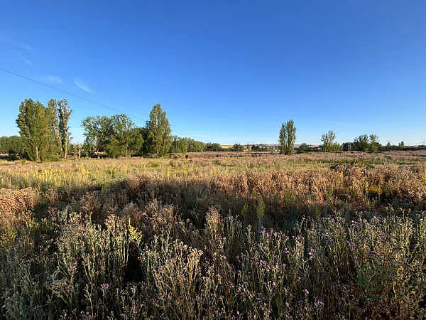Finca rústica de 2,9521 ha en venta en Palencia, Palencia