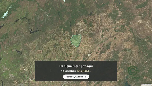 Spot image