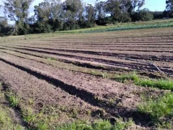 Fazenda agrícola de 4722,86 ha para venda em Rio grande do sul
