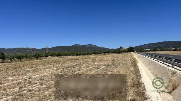 Spot image