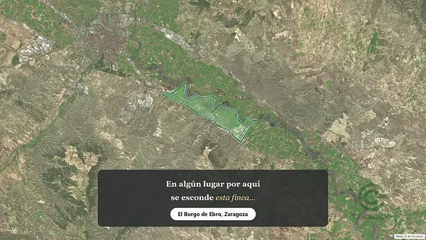 Spot image