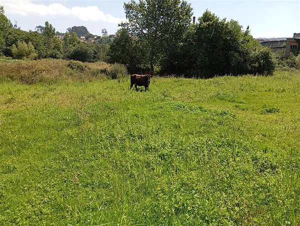 Finca rústica de 0,1 ha en venta en Vigo, Pontevedra