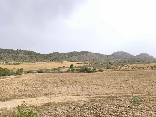 Spot image
