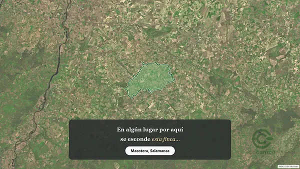 Spot image