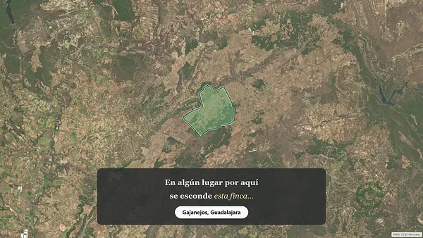 Spot image