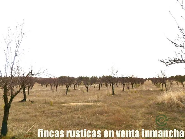 Finca agrícola de 73 ha en venta en Toledo