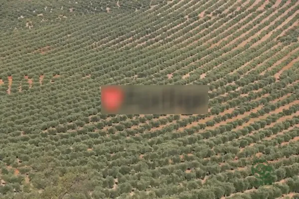 Spot image