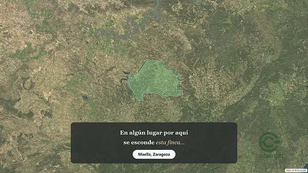 Spot image