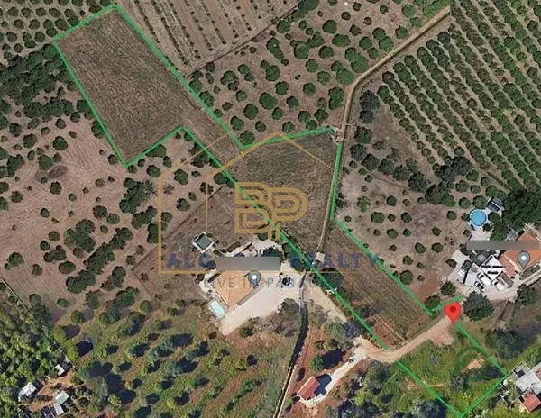 Spot image