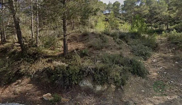 Spot image