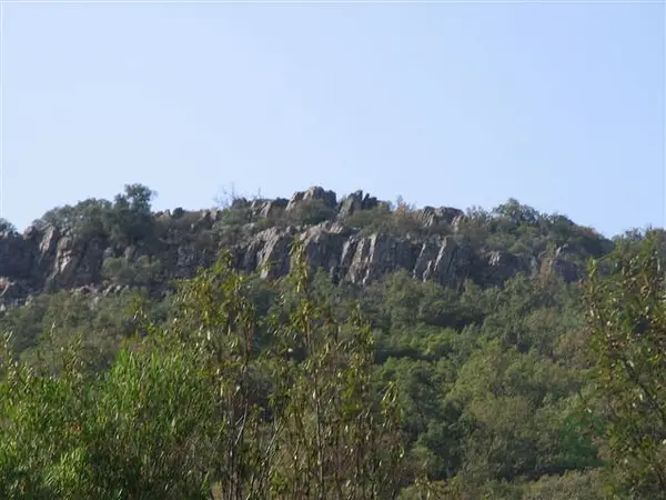 Spot image