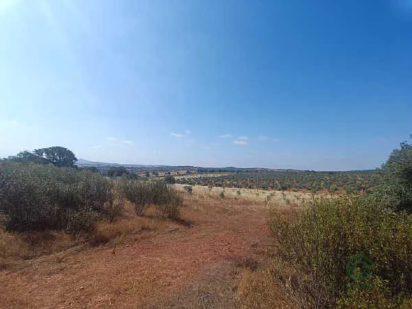 Finca rústica de 94,01 ha en venta en Monterrubio de la Serena, Badajoz