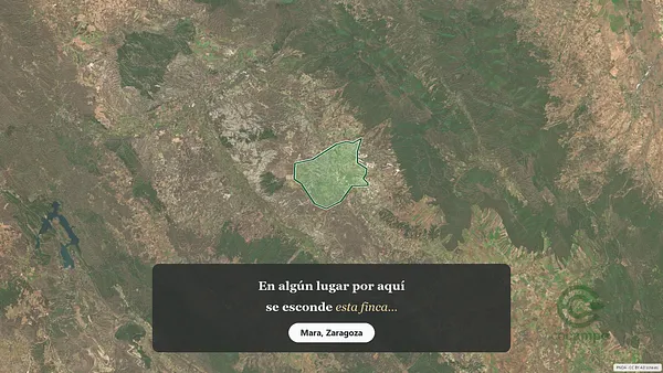 Spot image