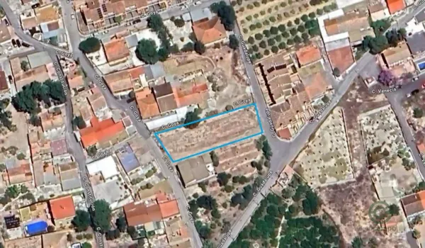 Spot image