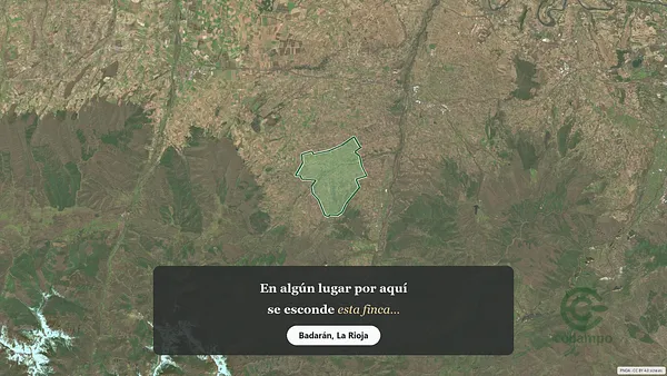 Spot image