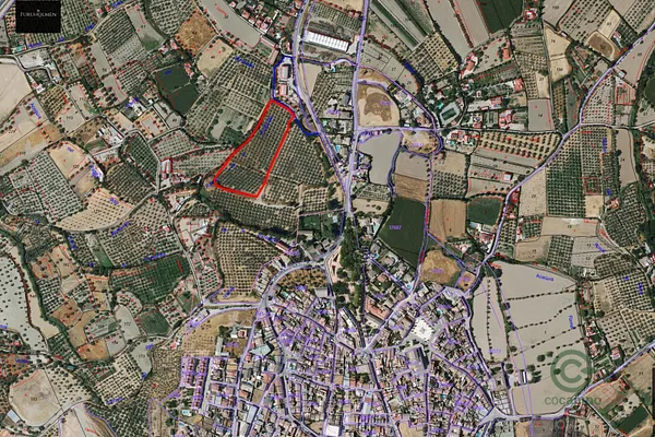 Spot image
