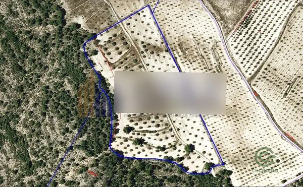 Spot image
