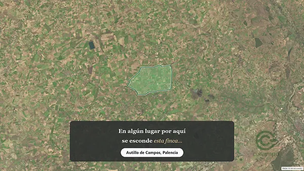 Spot image