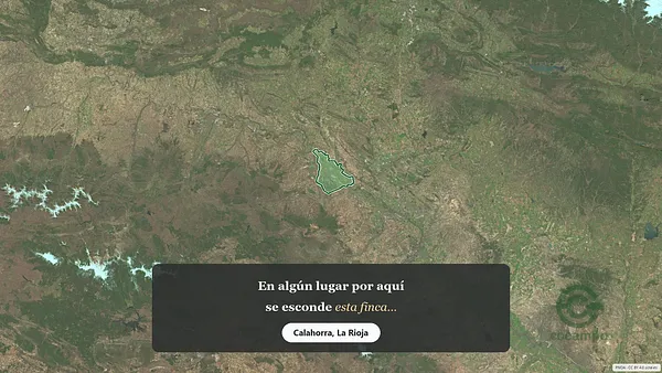 Spot image