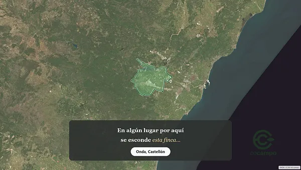 Spot image