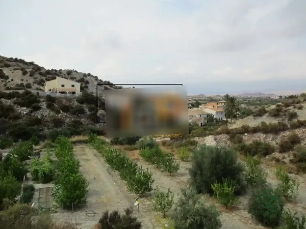 Spot image