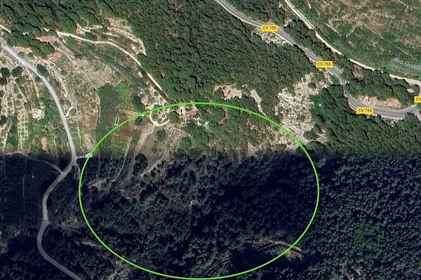 Spot image