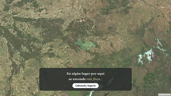 Spot image