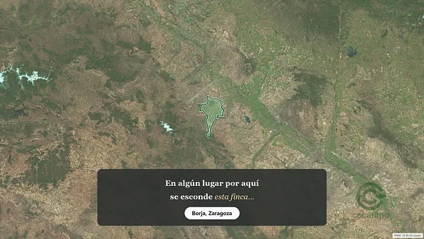 Spot image