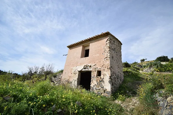 Spot image
