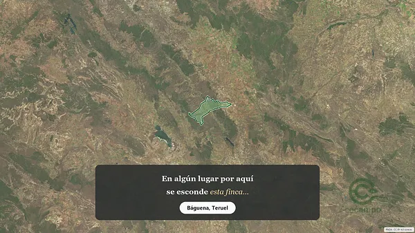 Spot image