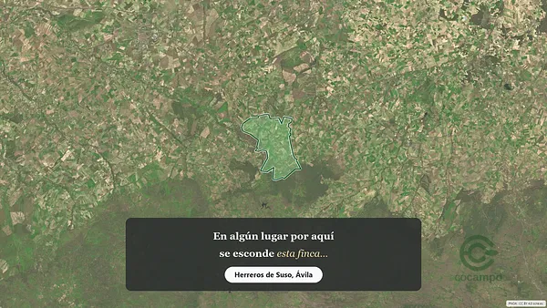 Spot image