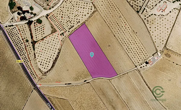 Spot image
