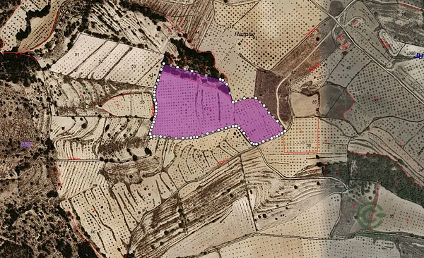 Spot image