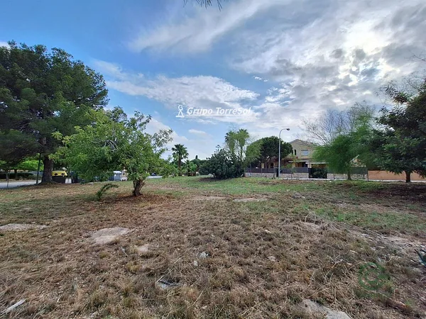 Spot image